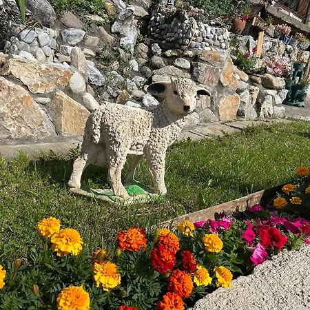 изгрев 3* Триград